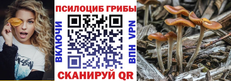 это формула Кизляр Галлюциногенные грибы мицелий купить наркоту